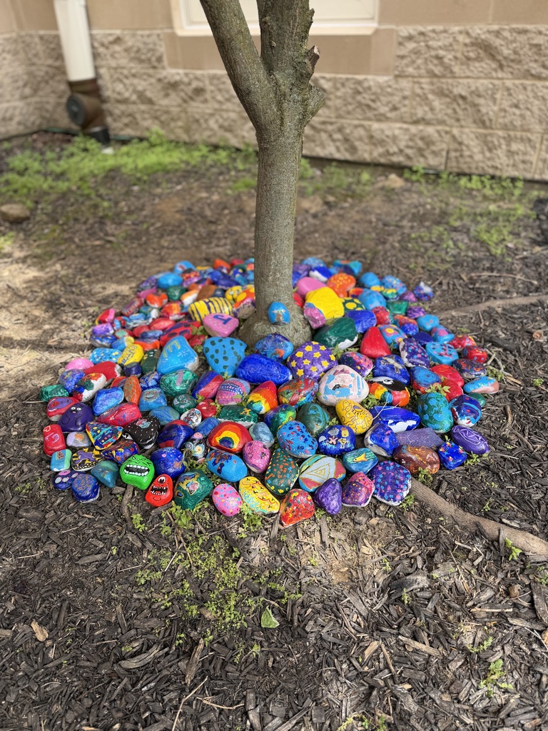 tree with painted rocks around the bottom on the ground