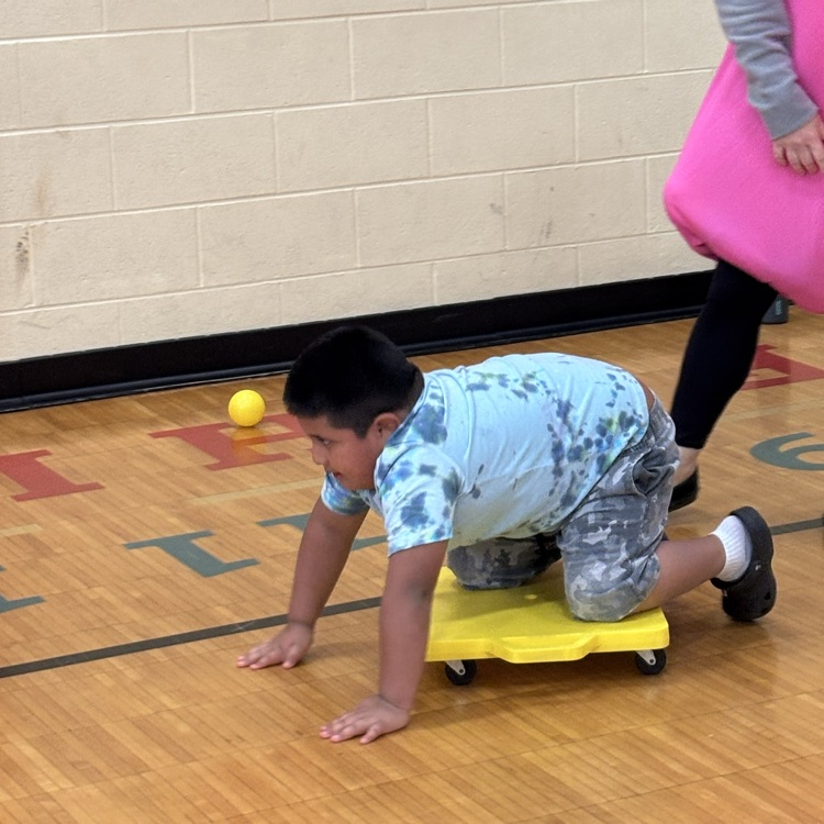 SP K Field Day