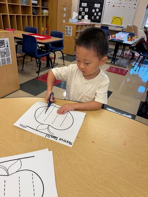 One student cutting paper