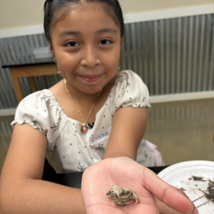 grade 5 green acres field trip 9/21/26