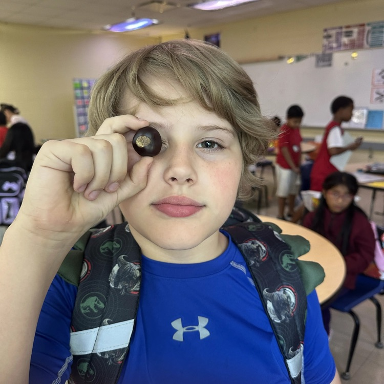 science processes using matter in grade 4 Patterson 9/4/26
