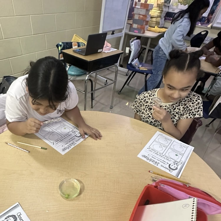 science processes using matter Patterson's homeroom 9/4/26