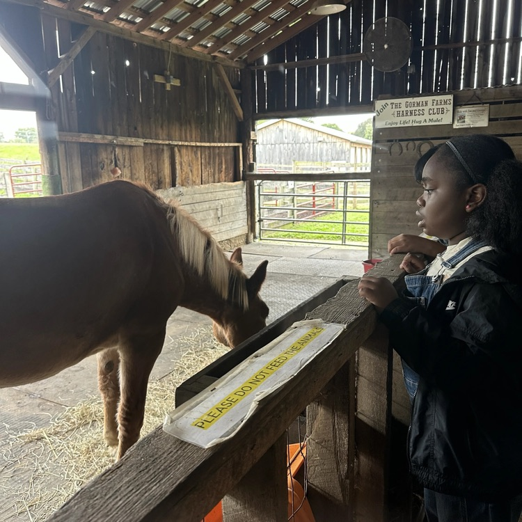 grade 4 Gorman farm field trip 9/23/26