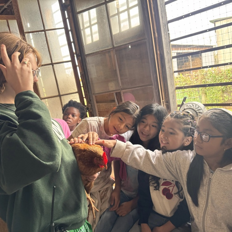 grade 4 Gorman farm field trip 9/23/26