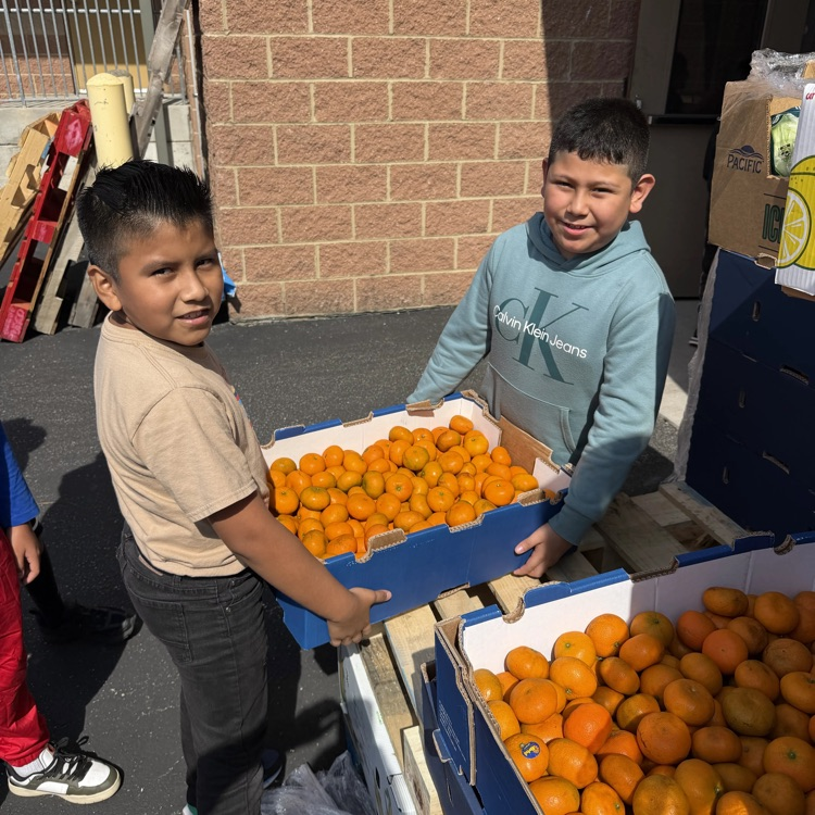 produce pop up at conference nights 2026