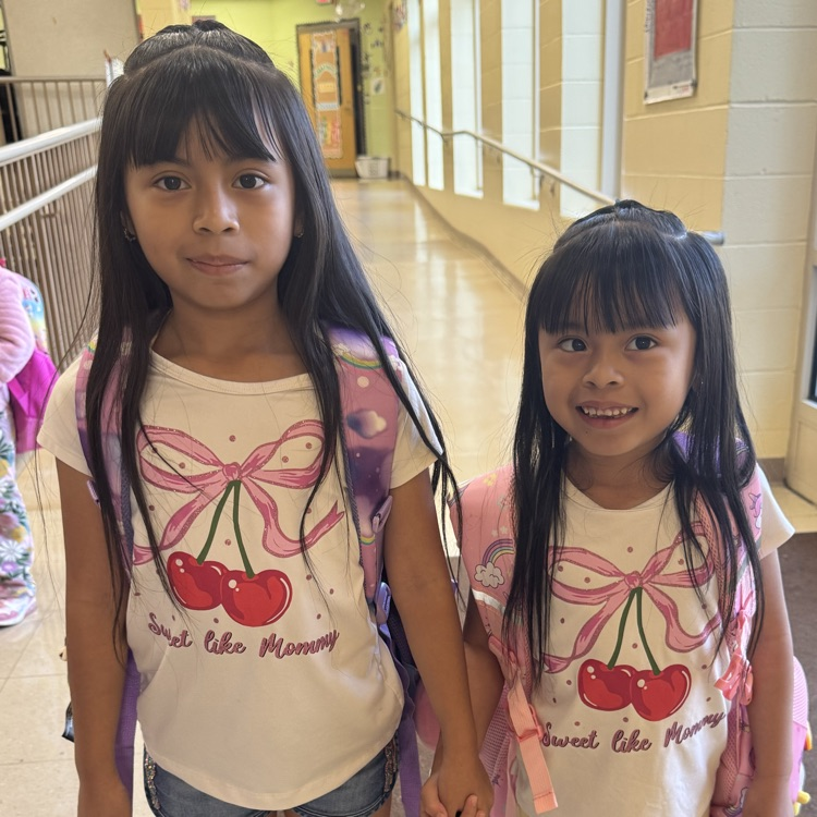 positive t-shirt Tuesday sisters twinning October 2026