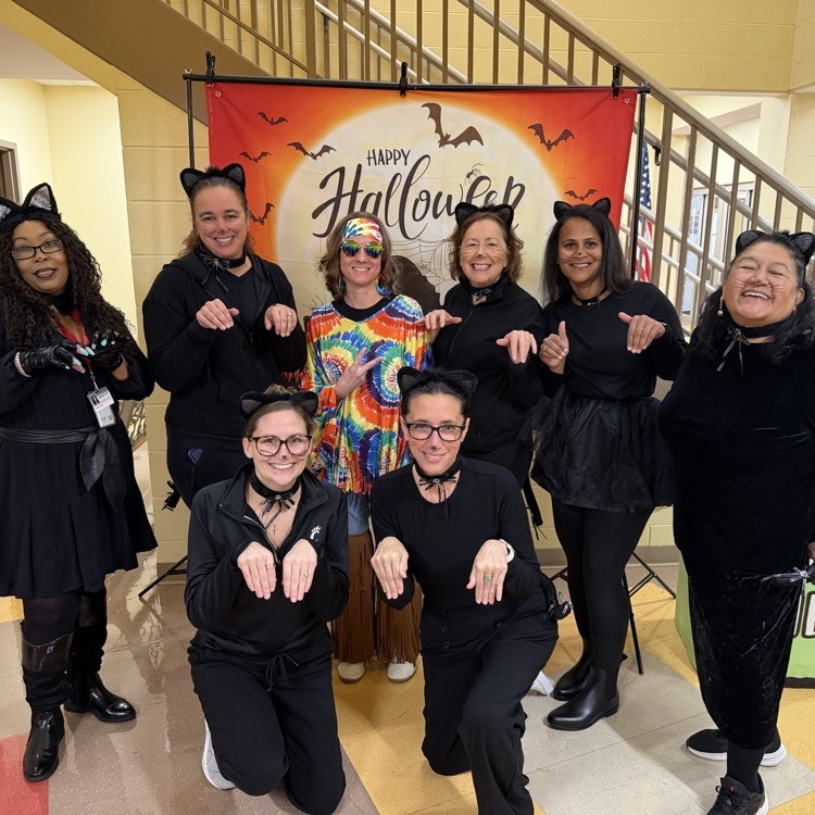 Halloween 2026- office staff as cats