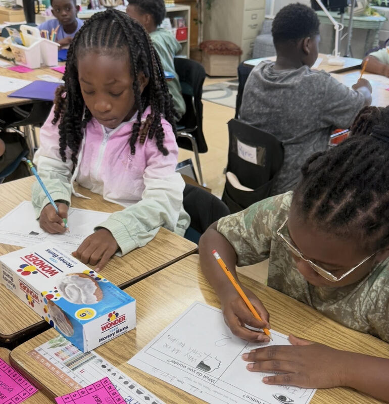 Notice and Wonder in 3rd grade reading
