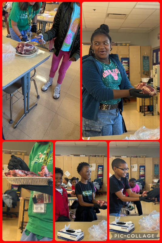 The Heart, Literally and Figuratively