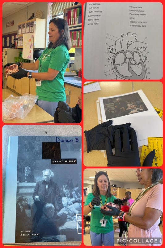 The Heart, Literally and Figuratively