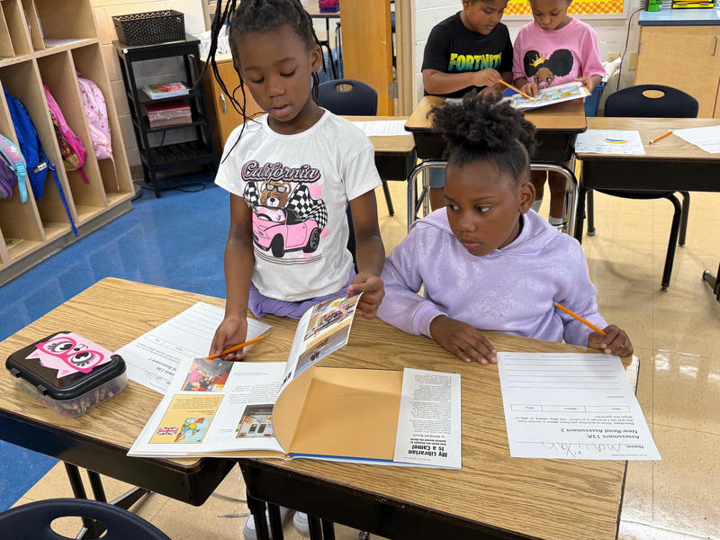 Becoming Critical Thinkers