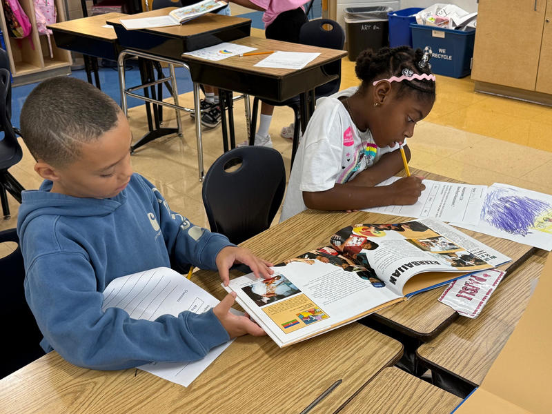 Becoming Critical Thinkers