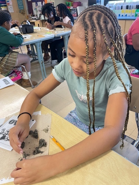 Discover the Secrets Inside Owl Pellets: Dissection Fun!