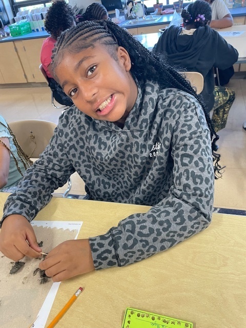 Discover the Secrets Inside Owl Pellets: Dissection Fun!