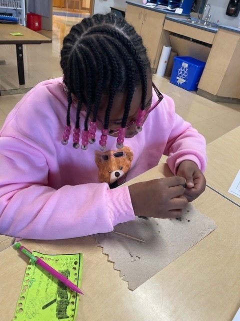 Discover the Secrets Inside Owl Pellets: Dissection Fun!