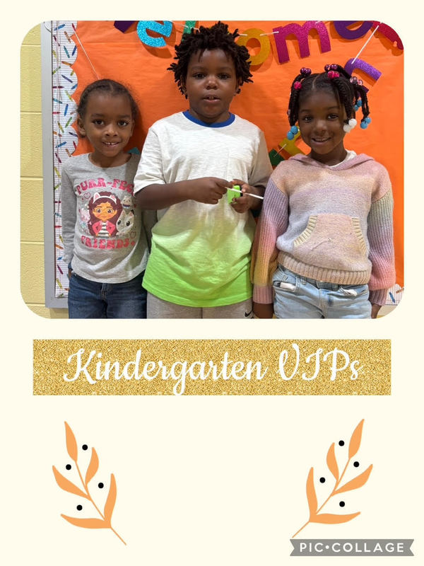 November Viking VIPs