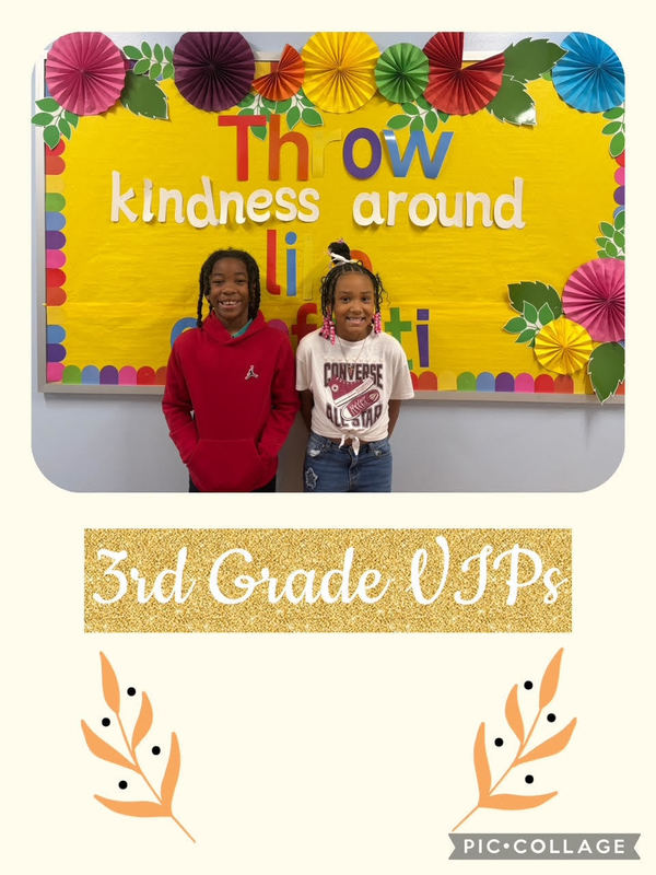 November Viking VIPs