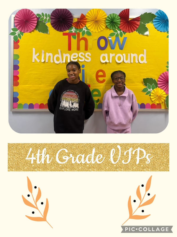 November Viking VIPs