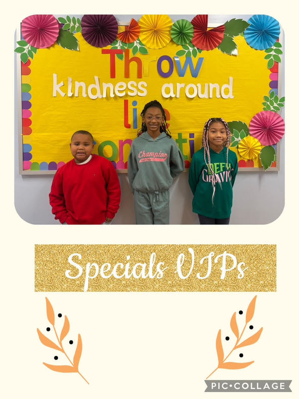 November Viking VIPs