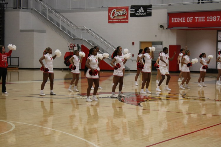 Princeton cheerleaders performing in the Viking Arena. 