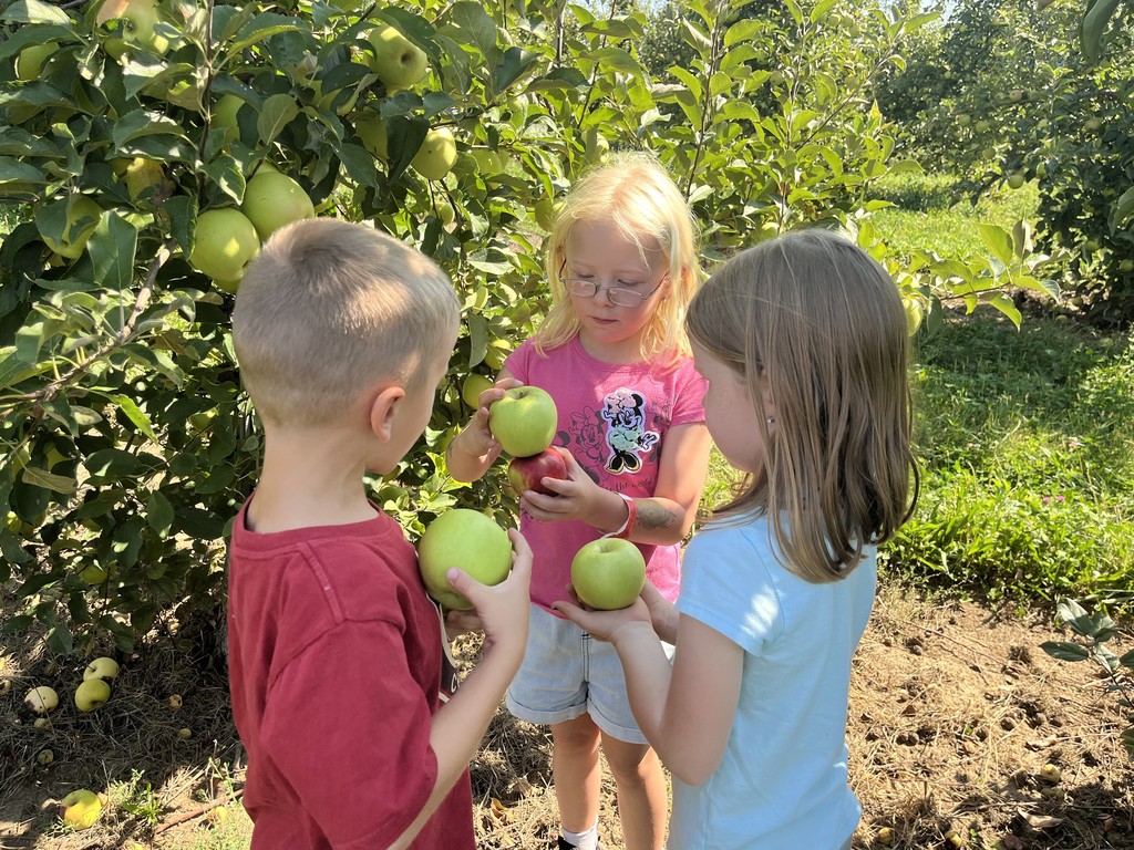 Three Jefferson students at Tanner's Orchard learning all about apples.