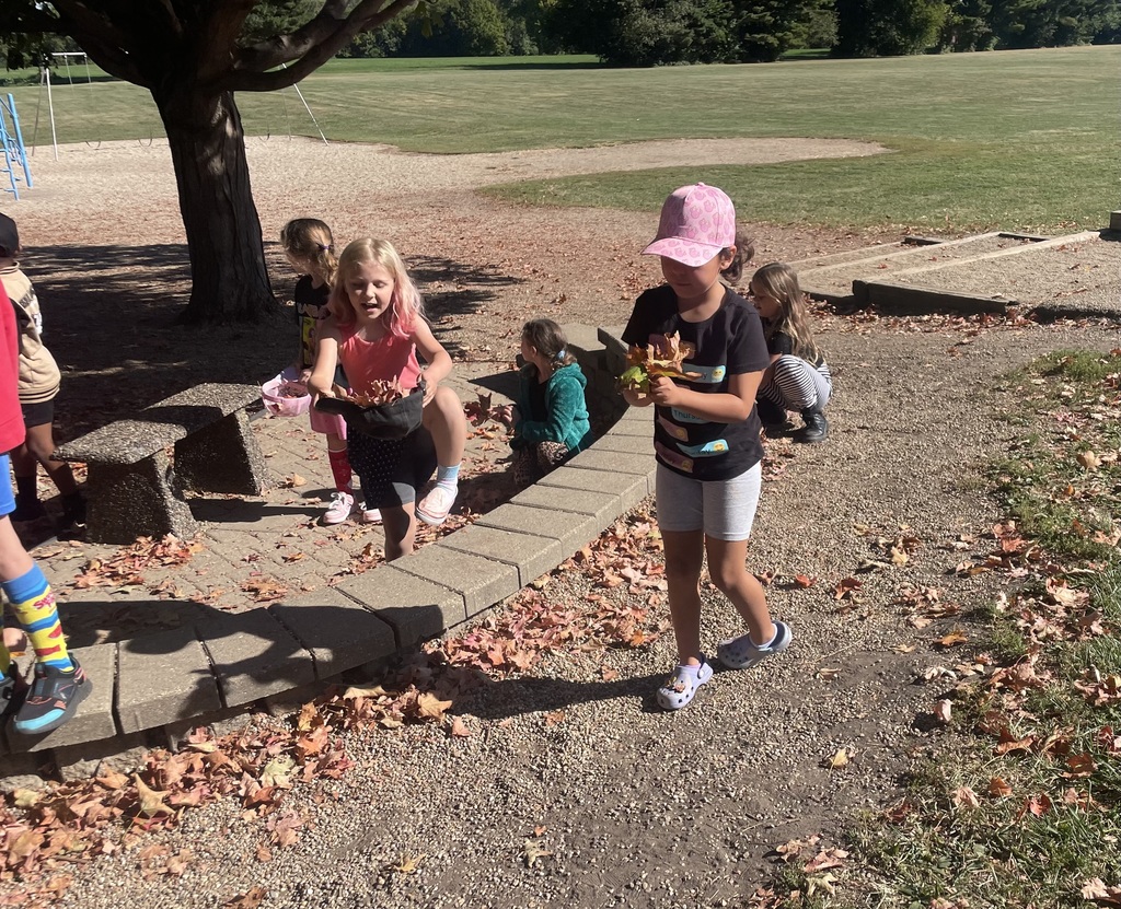 students in Mrs. Ellberg's class outdoors collecting leaves
