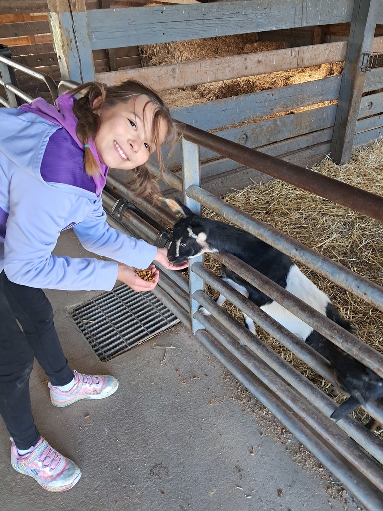 One of Mrs. Kull's students with a small goat at Boggio's Orchard