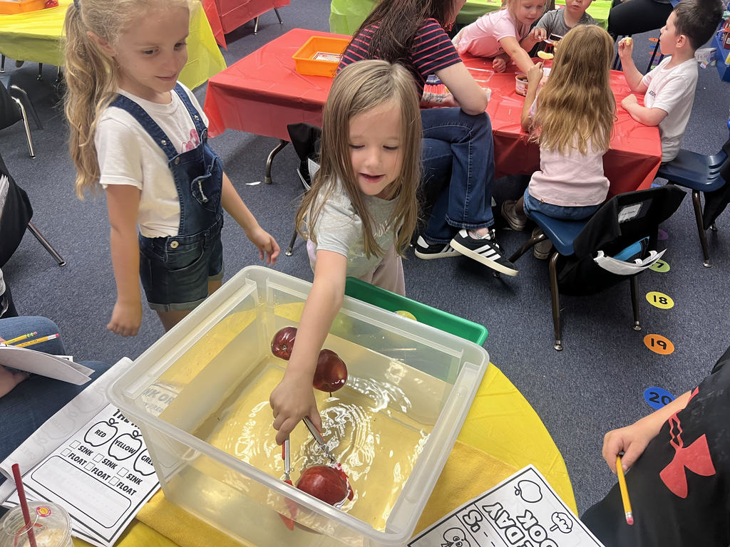 Douglas Kindergarten students selecting their apples for Apple Day