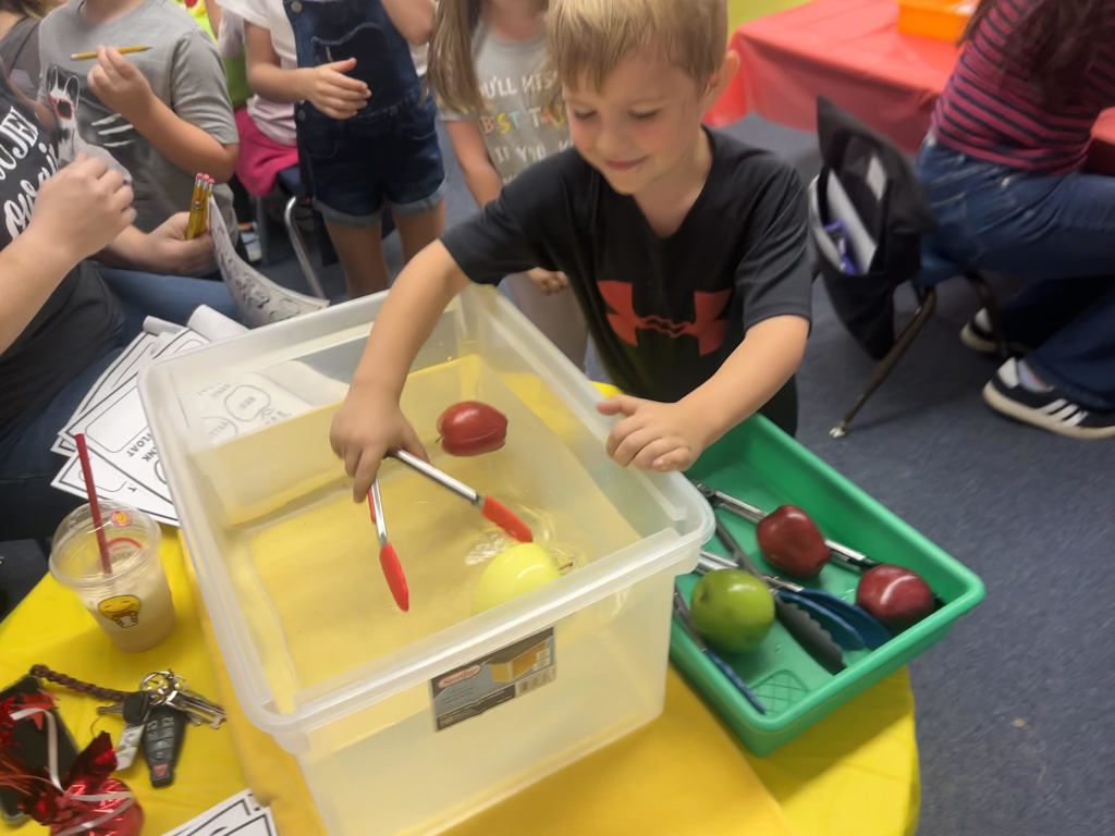 Douglas Kindergarten students selecting their apples for Apple Day
