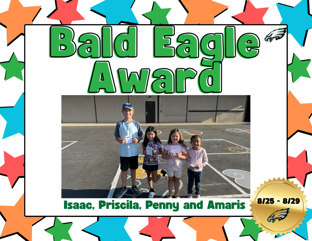 bald eagle 2