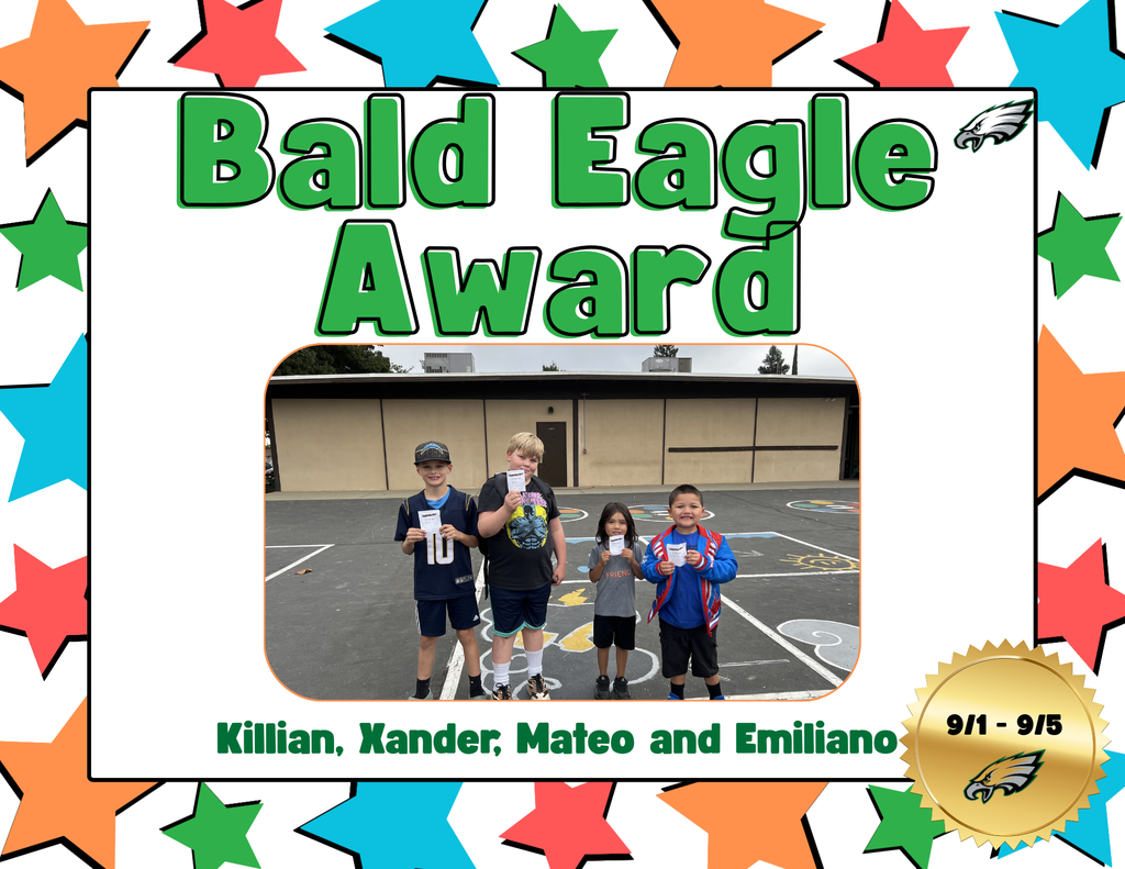 bald eagle
