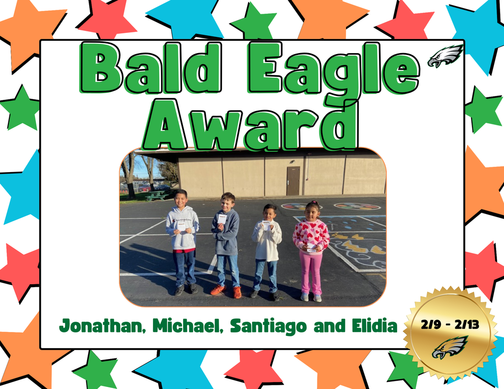 bald eagles 1