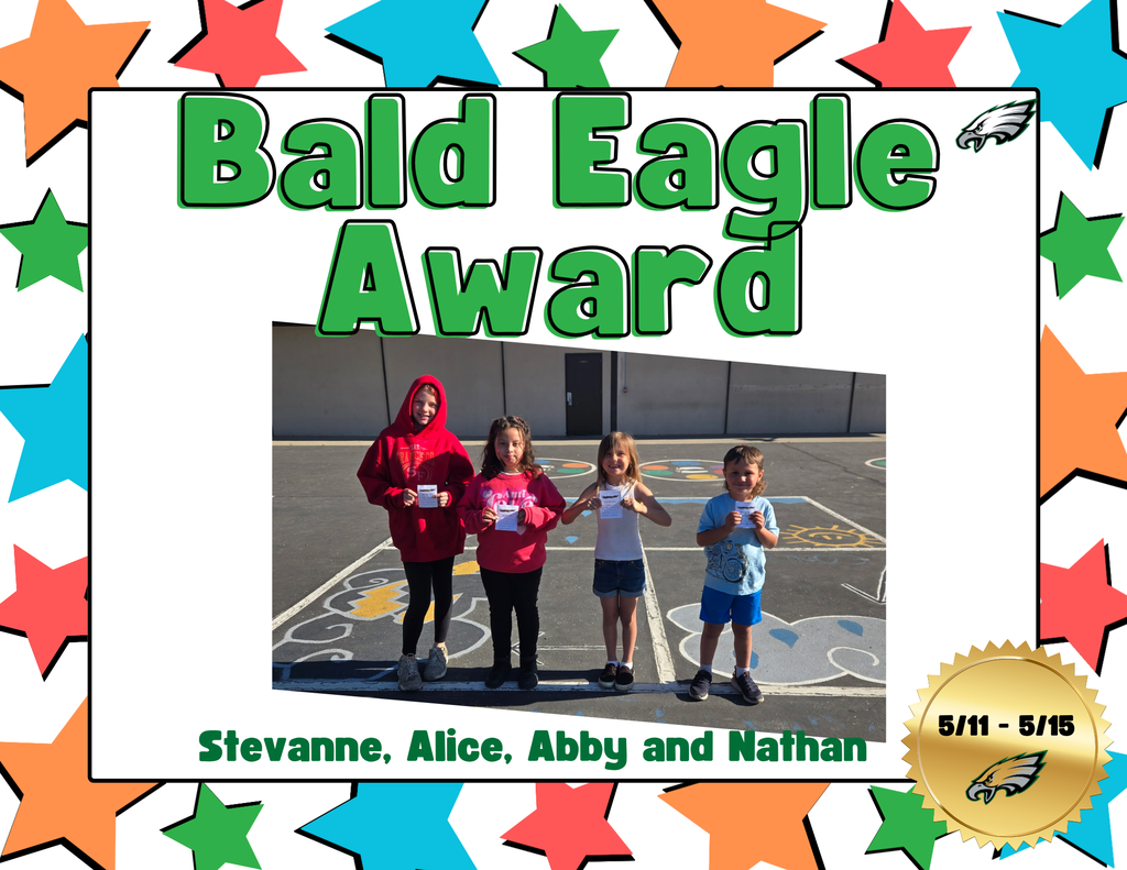 bald eagle