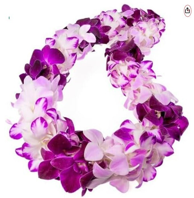 Lei