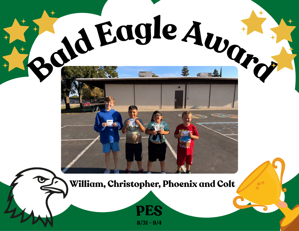 bald eagle award