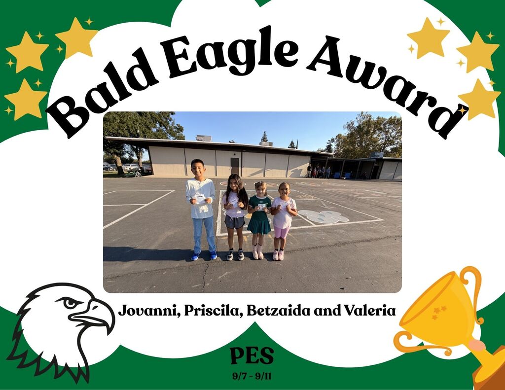 bald eagle award