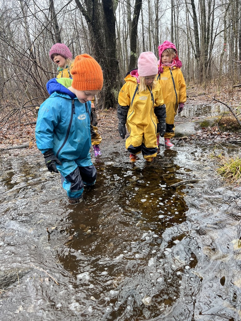 Group of Anna Cashman's preschool students playing in a puddle