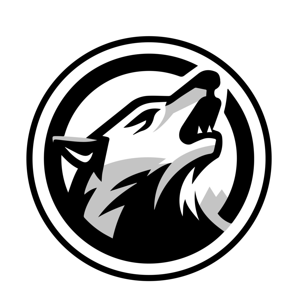 Prospect Mountain High School athletic logo