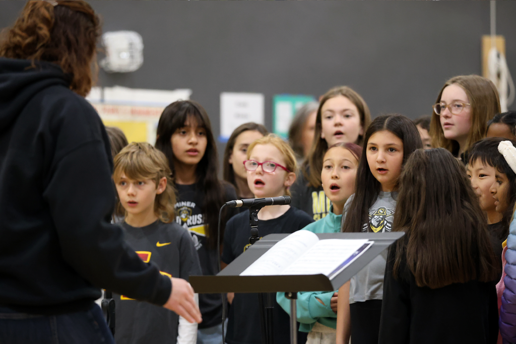 Performing Arts show for ES
