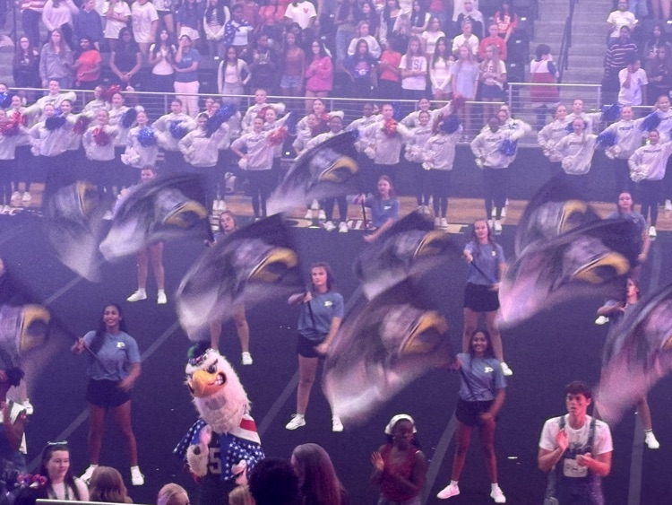 Color guard members spin flags on a gym mat with dance team behind dancing along. The stands are filled with students behind them