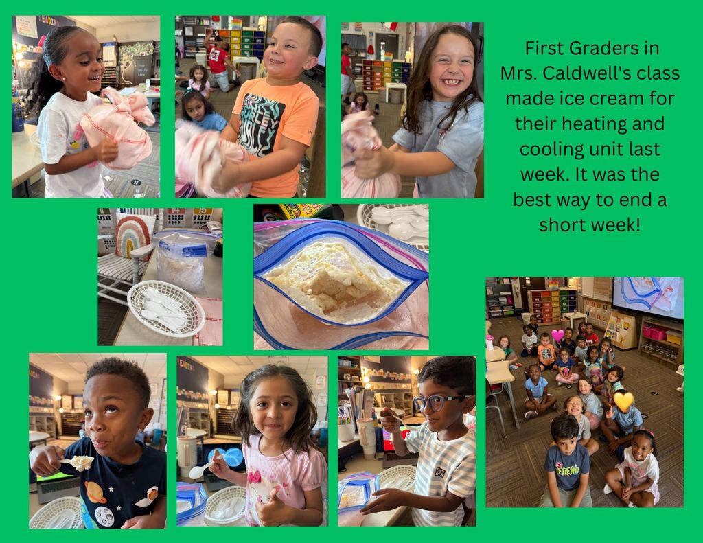 First Grade Science Fun!