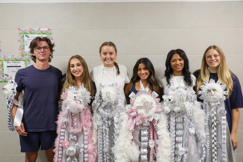 Walnut Grove Mums