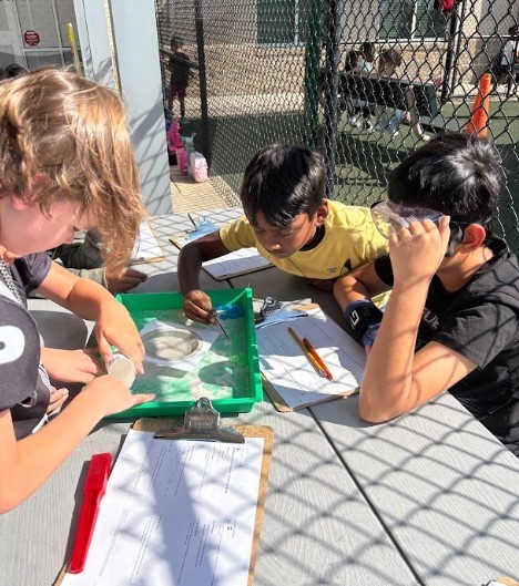 4th graders became scientists today! They used all kinds of tools to discover how to separate mixed-up matter.