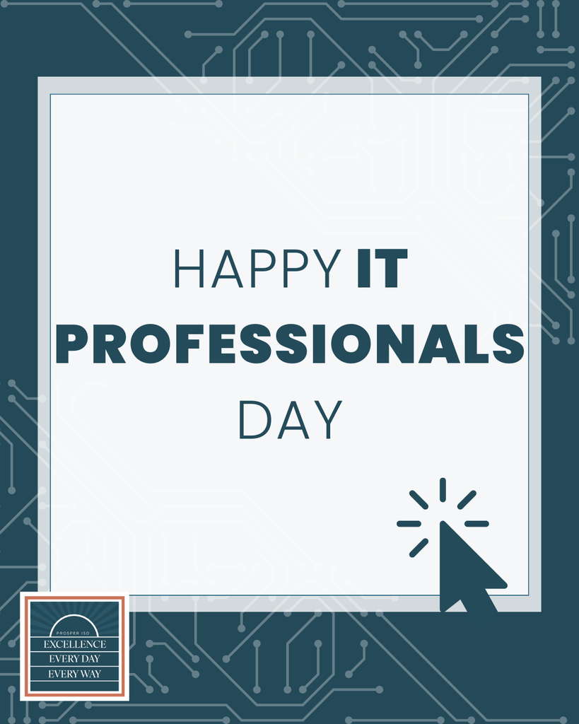 IT Professionals