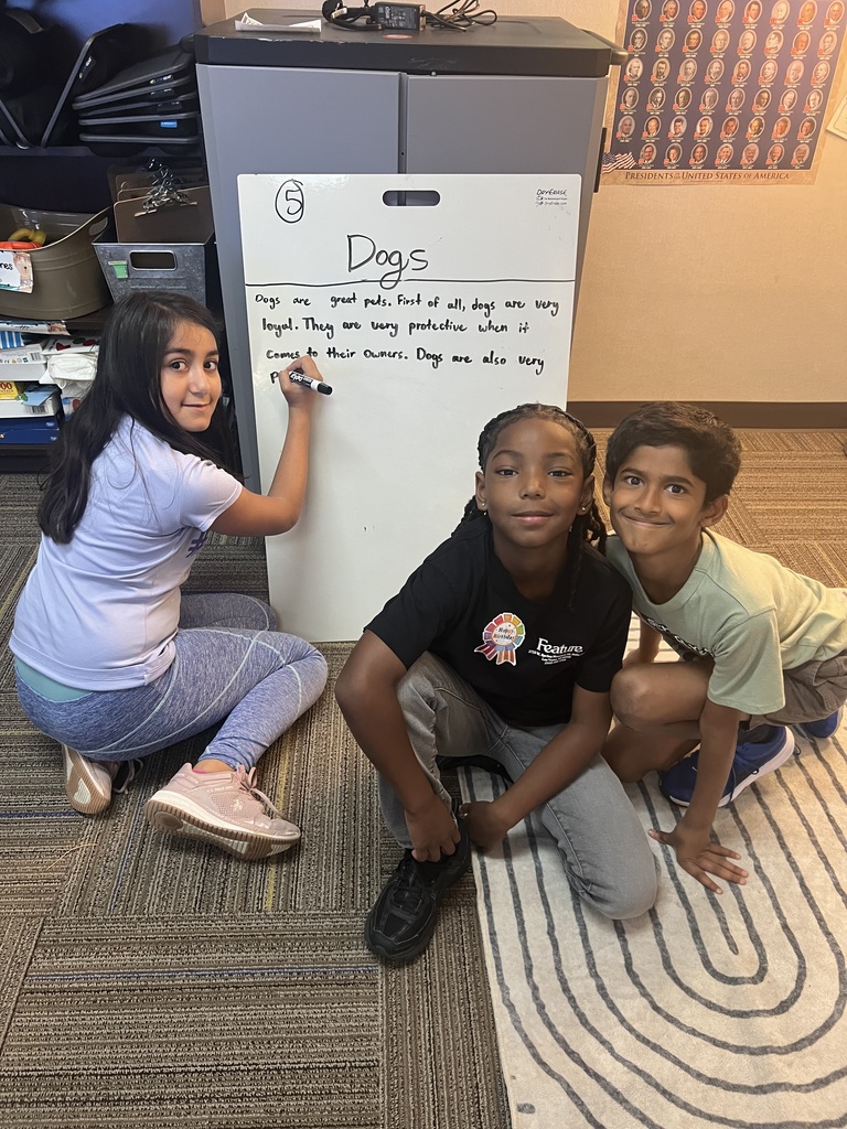 Fourth Graders writing SROs on Vertical Boards.
