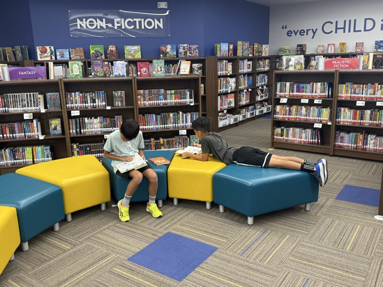 library refresh