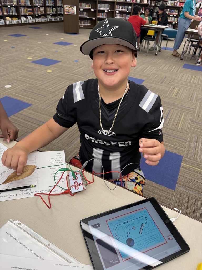 Fifth Grade Conductor and Insulator Lesson