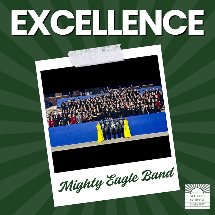 Graphic featuring the words “EXCELLENCE” in bold white at the top, with a green sunburst background. In the center is a Polaroid-style photo of the Mighty Eagle Band. At the bottom the name “Mighty Eagle Band” appears in script.