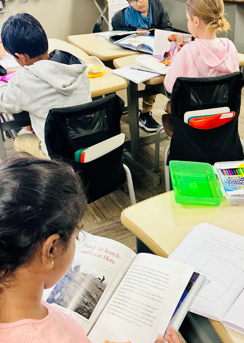 Third Grade Research