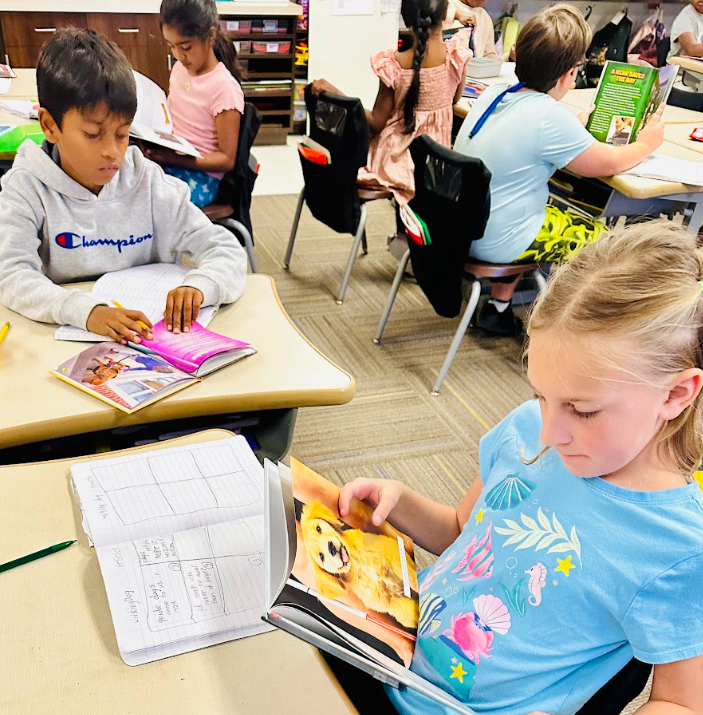 Third Grade Research